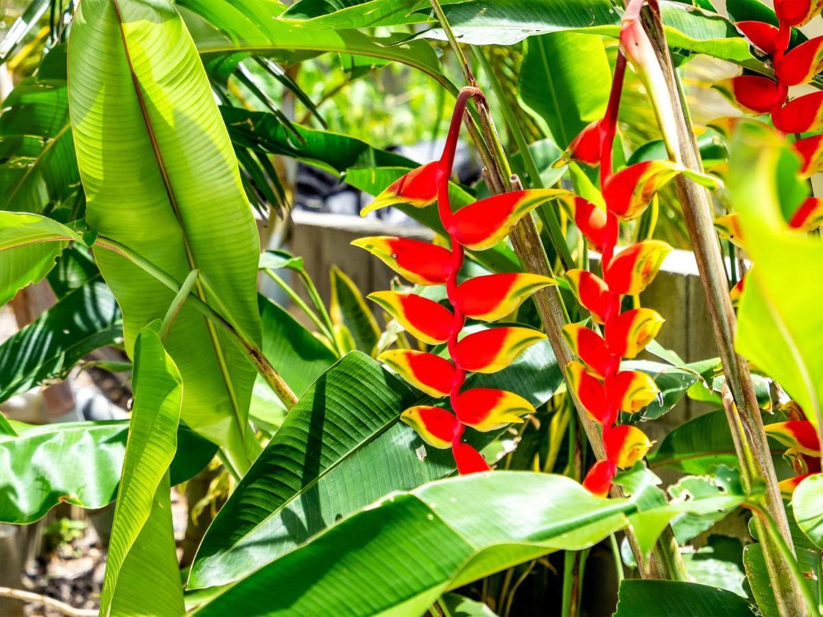 Island Breeze Appartement Onna Buitenkant foto
